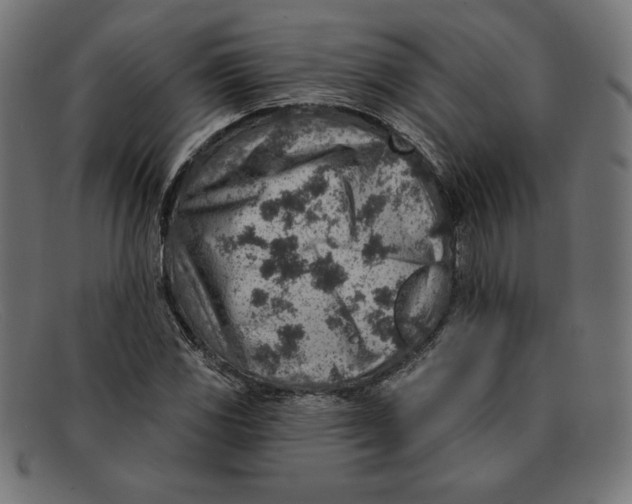 X0000092041117200710100952