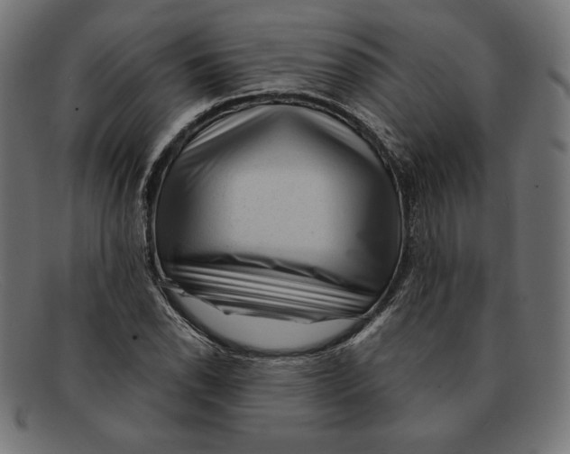 X0000092041118200710100952