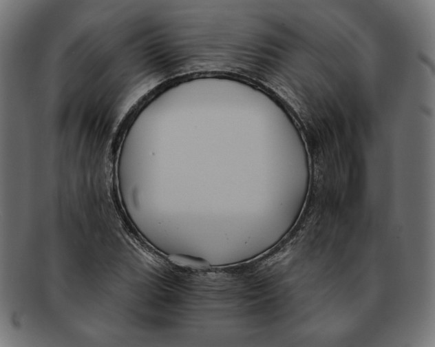 X0000092041119200710100952