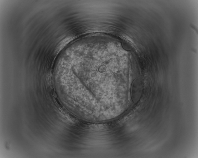 X0000092041121200710100952