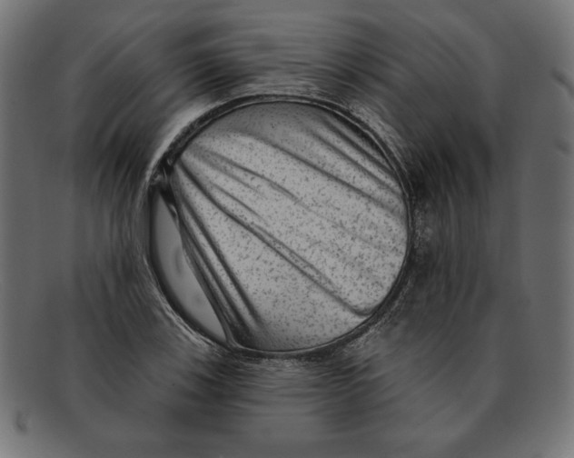 X0000092041123200710100952