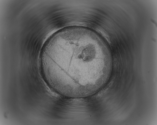 X0000092041125200710100952