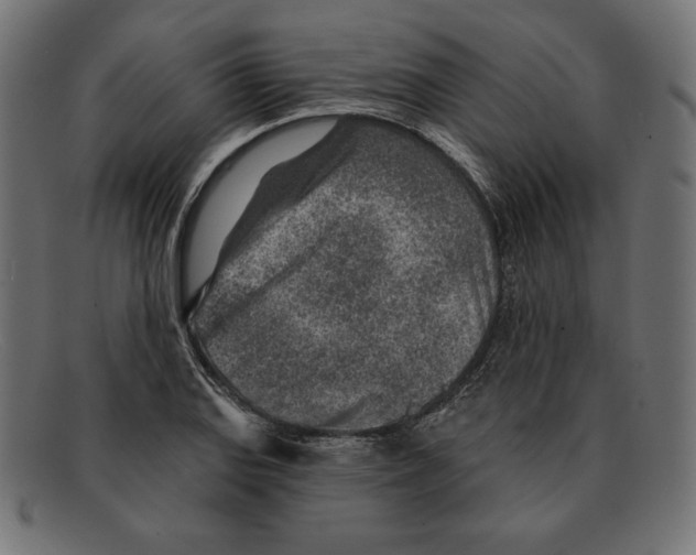 X0000092041127200710100952