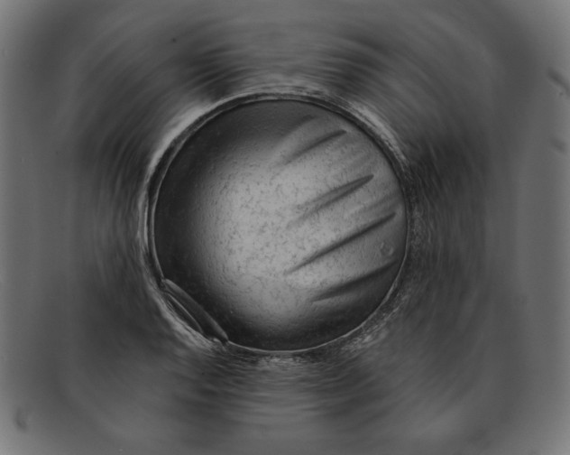 X0000092041128200710100952