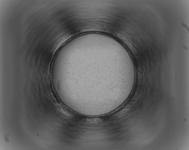 X0000092041129200710100952