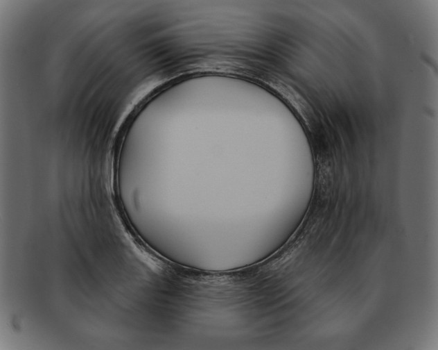 X0000092041131200710100952