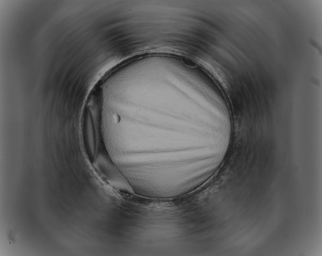 X0000092041133200710100953