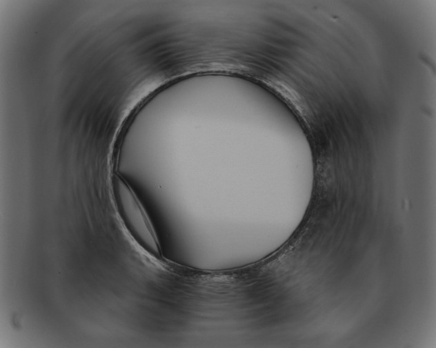 X0000092041135200710100953