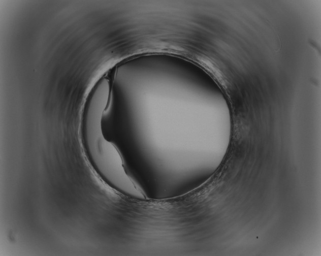 X0000092041136200710100953