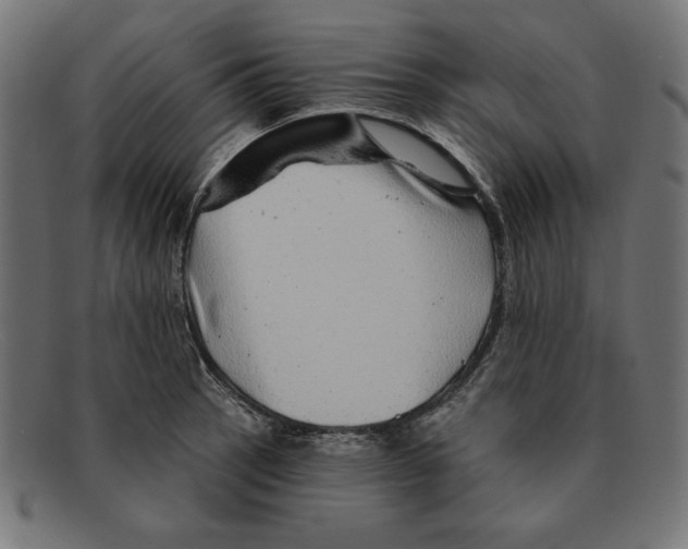 X0000092041137200710100953