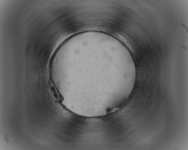 X0000092041140200710100953