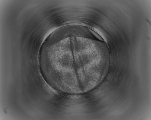 X0000092041141200710100953