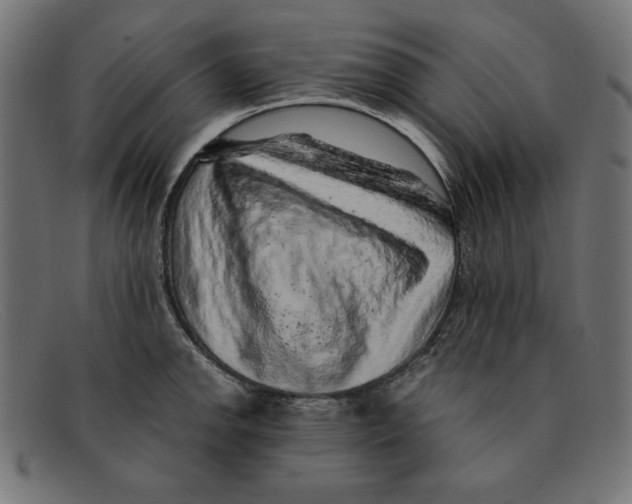 X0000092041142200710100953