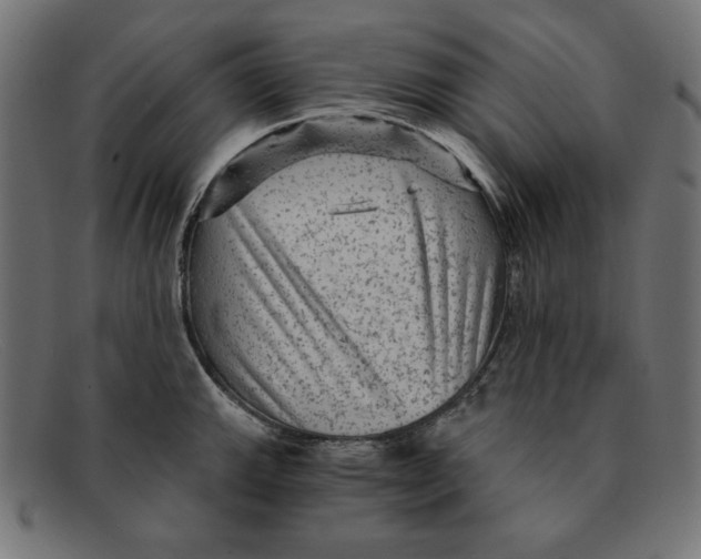 X0000092041143200710100953