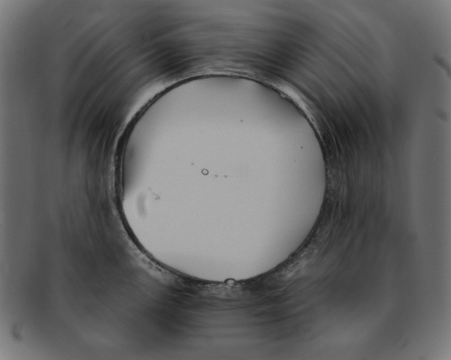 X0000092041147200710100953