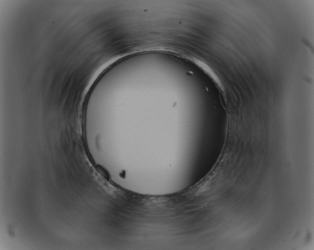 X0000092041148200710100953