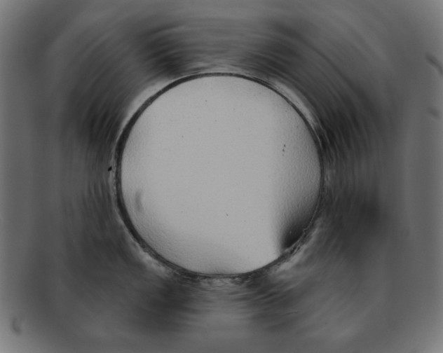 X0000092041149200710100953