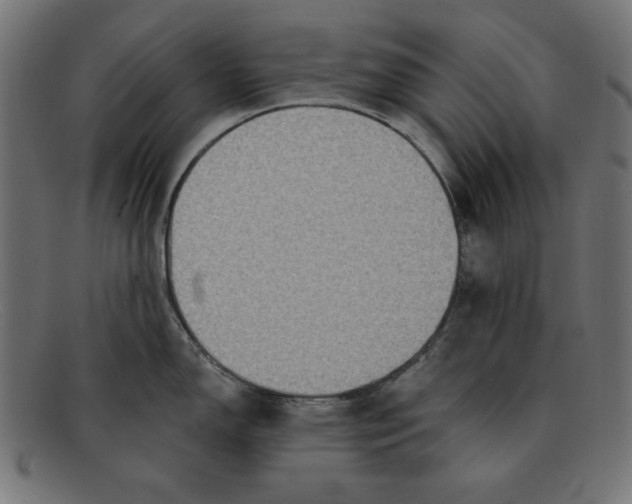 X0000092041150200710100953