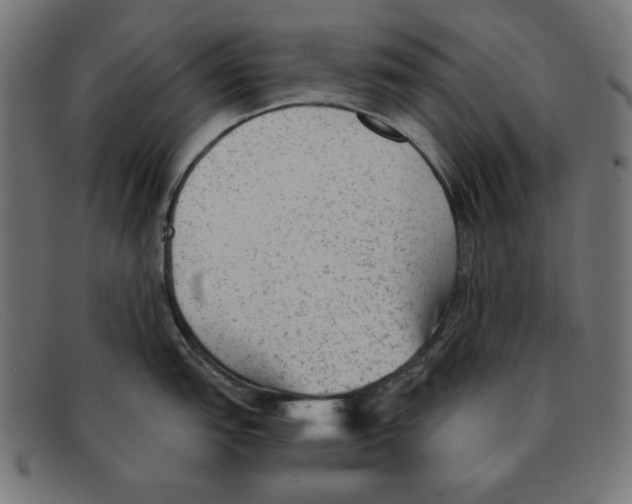 X0000092041151200710100953