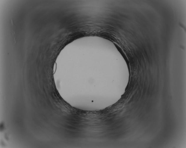 X0000092041153200710100952