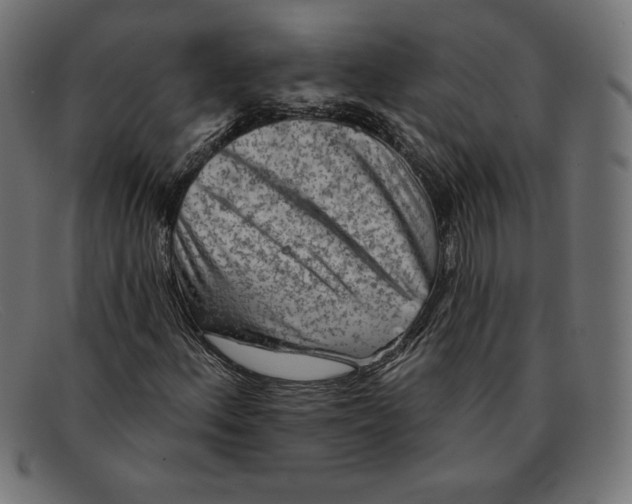 X0000092041156200710100952