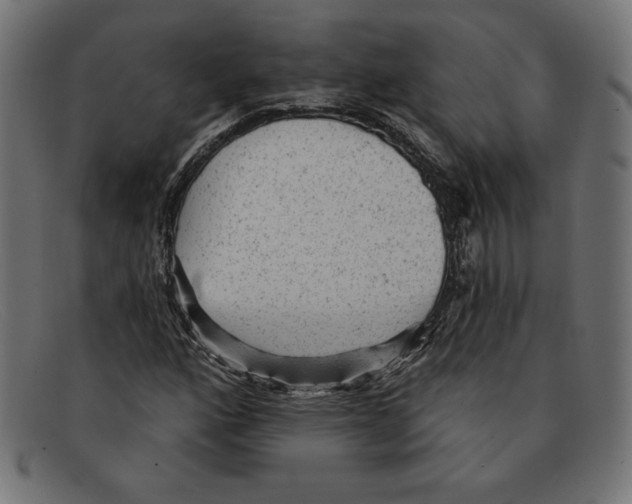 X0000092041160200710100952