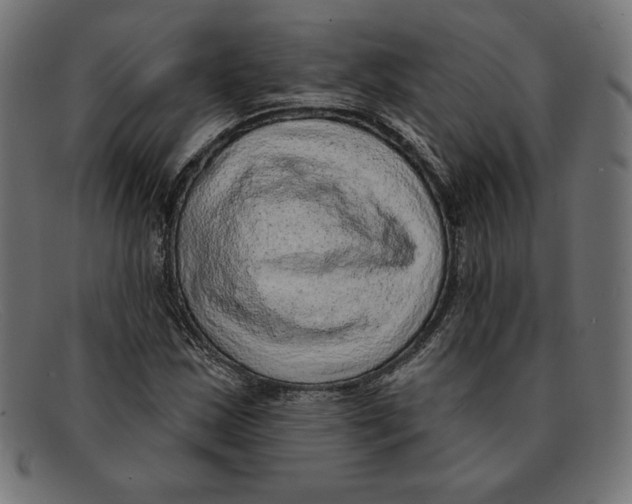 X0000092041163200710100952