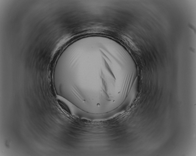 X0000092041164200710100952