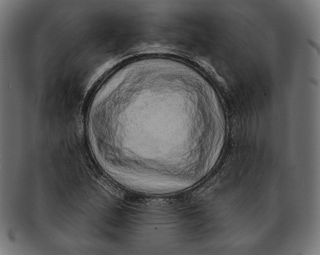 X0000092041167200710100952