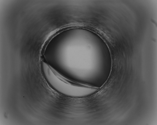 X0000092041168200710100952