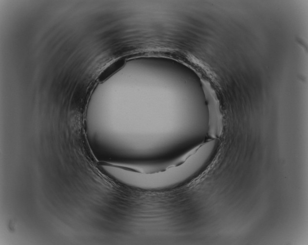 X0000092041169200710100952