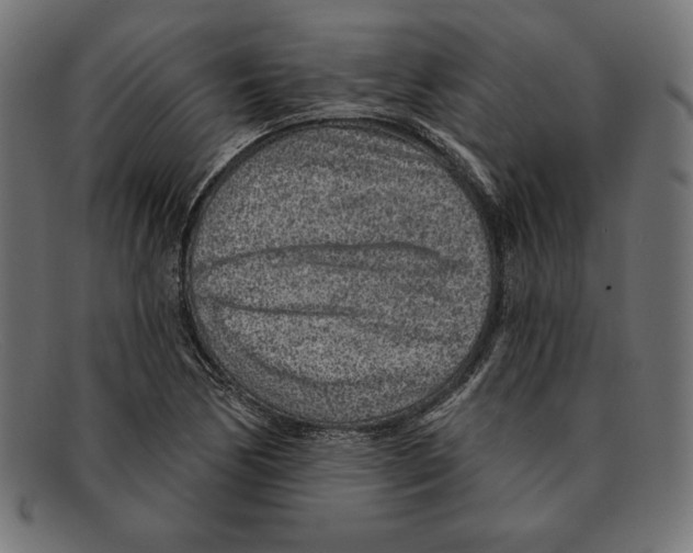 X0000092041170200710100952