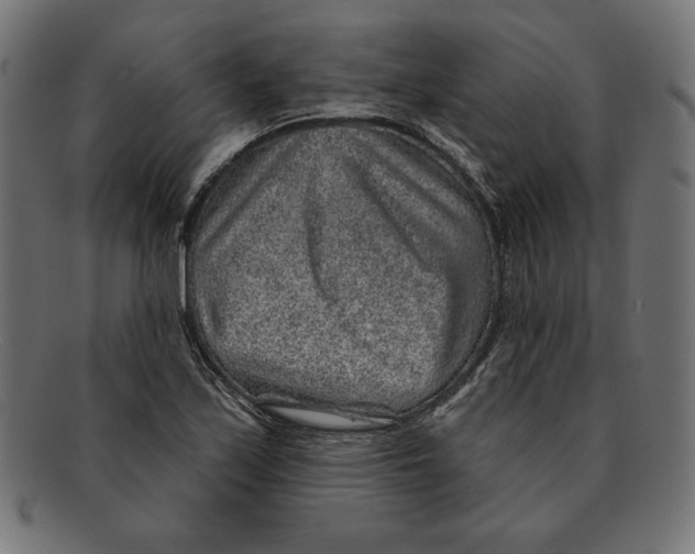 X0000092041171200710100952