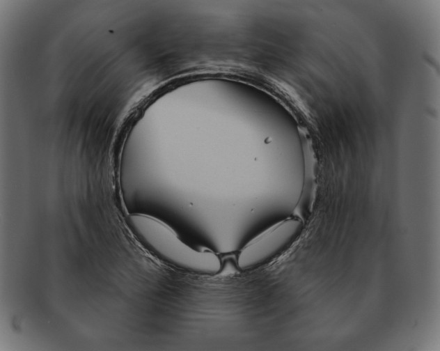 X0000092041172200710100952