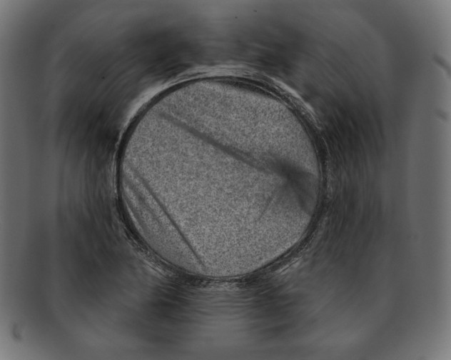 X0000092041174200710100952