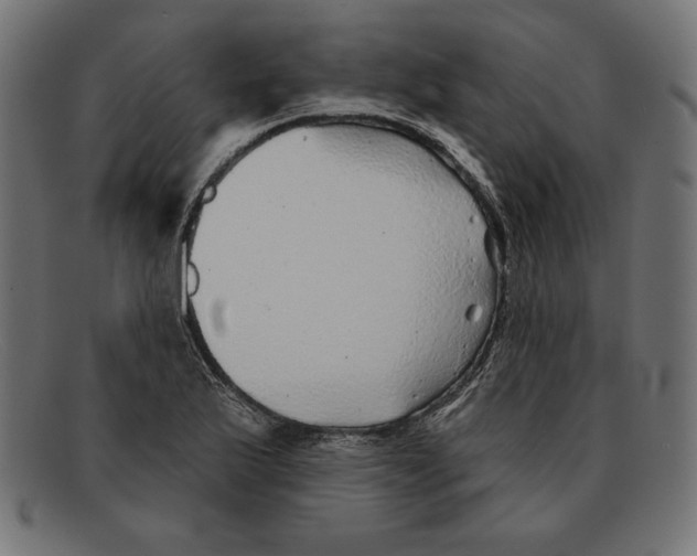 X0000092041175200710100952