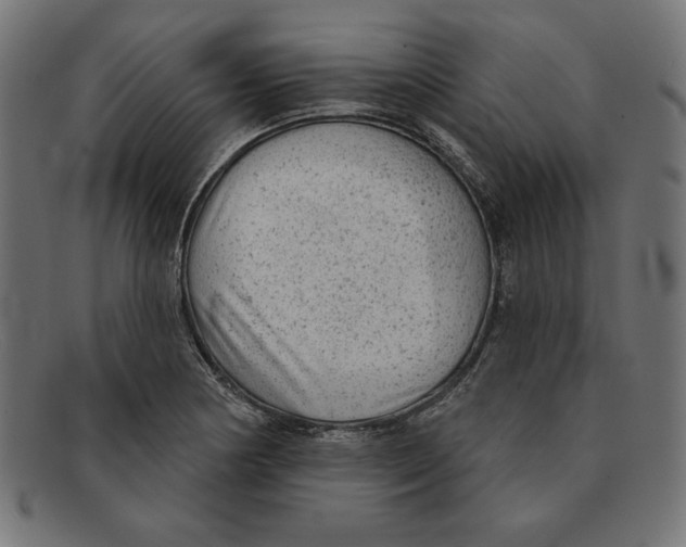 X0000092041178200710100952