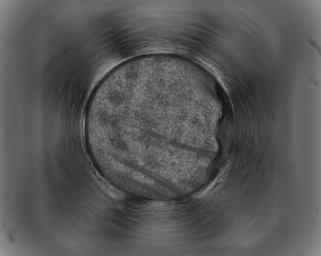 X0000092041179200710100952