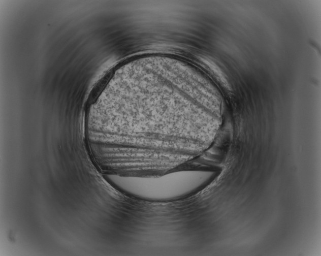 X0000092041180200710100952