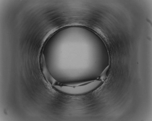 X0000092041181200710100952