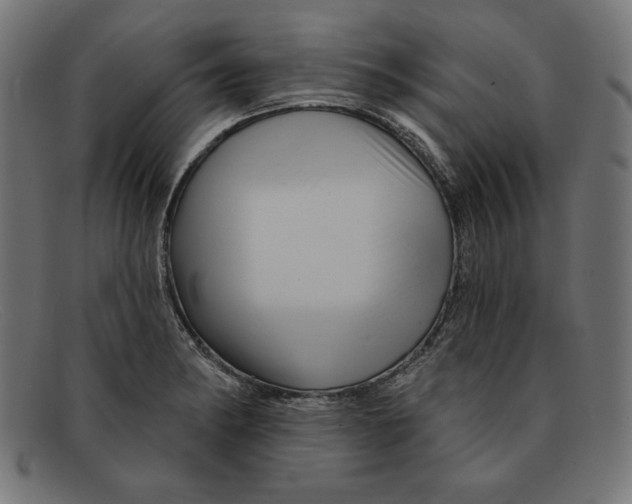 X0000092041182200710100952