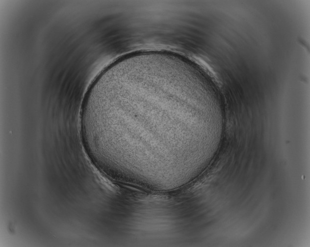 X0000092041183200710100952