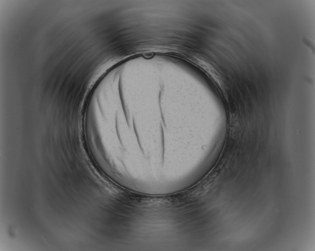 X0000092041187200710100952