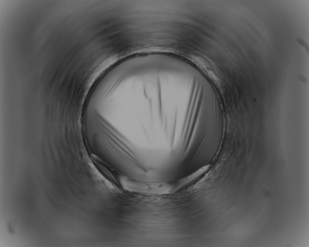 X0000092041189200710100952