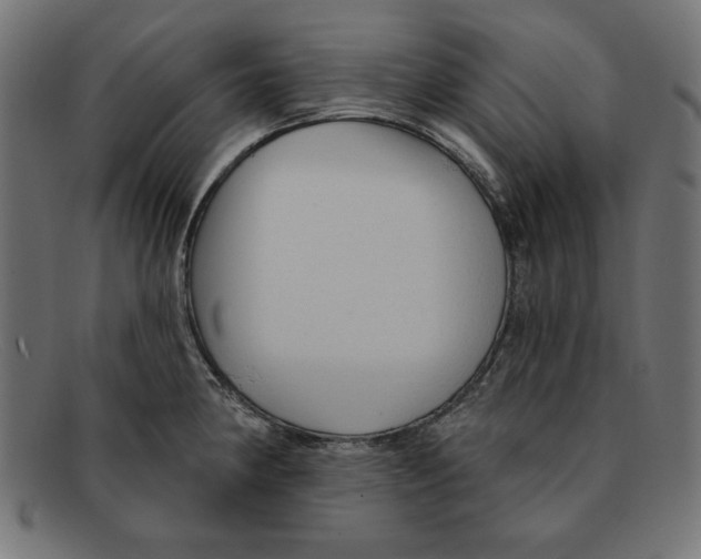 X0000092041190200710100952