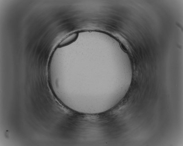 X0000092041191200710100952