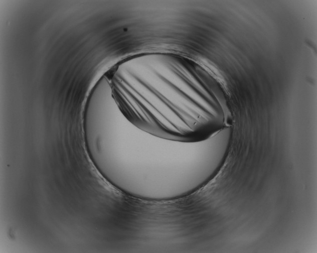 X0000092041192200710100952