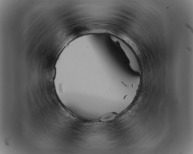 X0000092041193200710100952