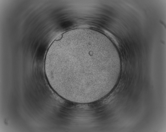 X0000092041194200710100952