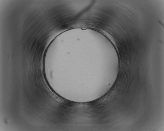 X0000092041195200710100952